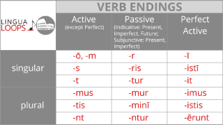 Lingua Loops Latin Conjugation And Declension Songs